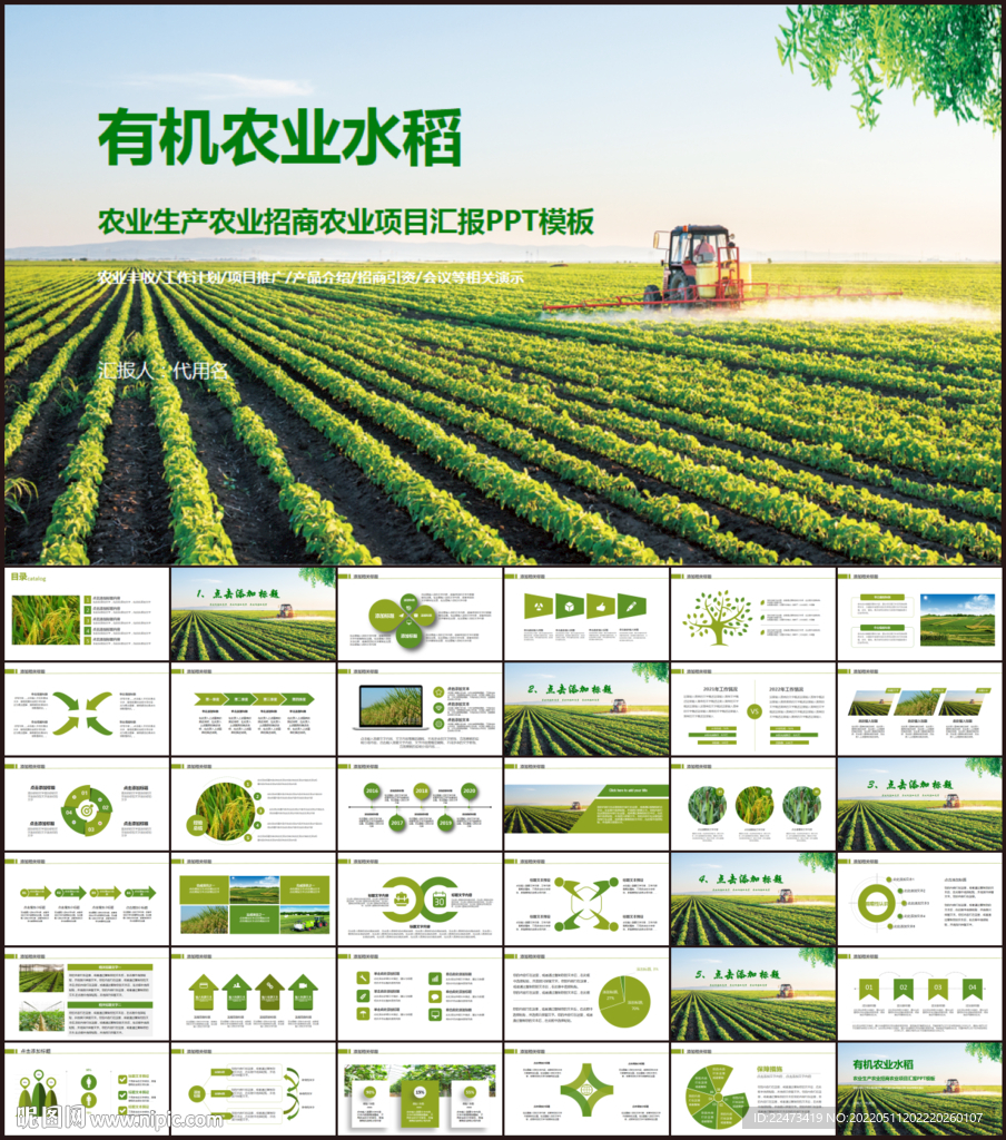 水稻农田绿洲大米PPT模板农业
