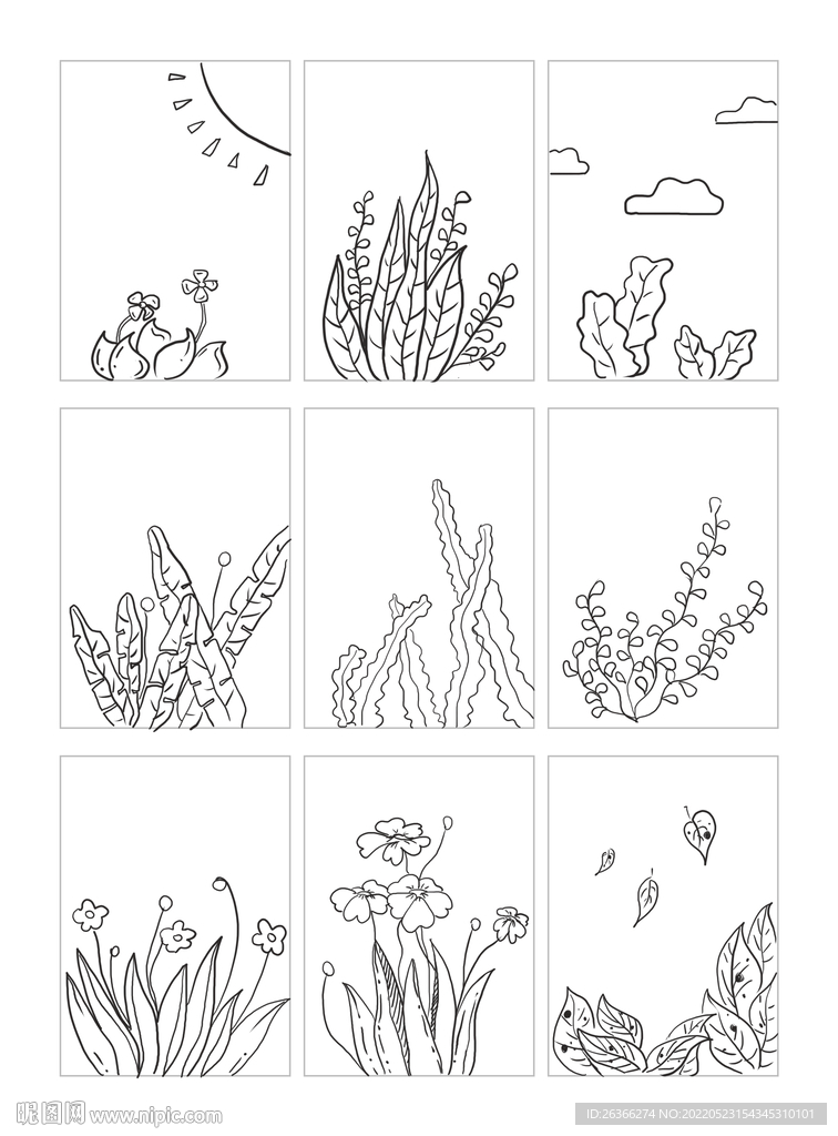 手绘黑白线条植物叶子插画