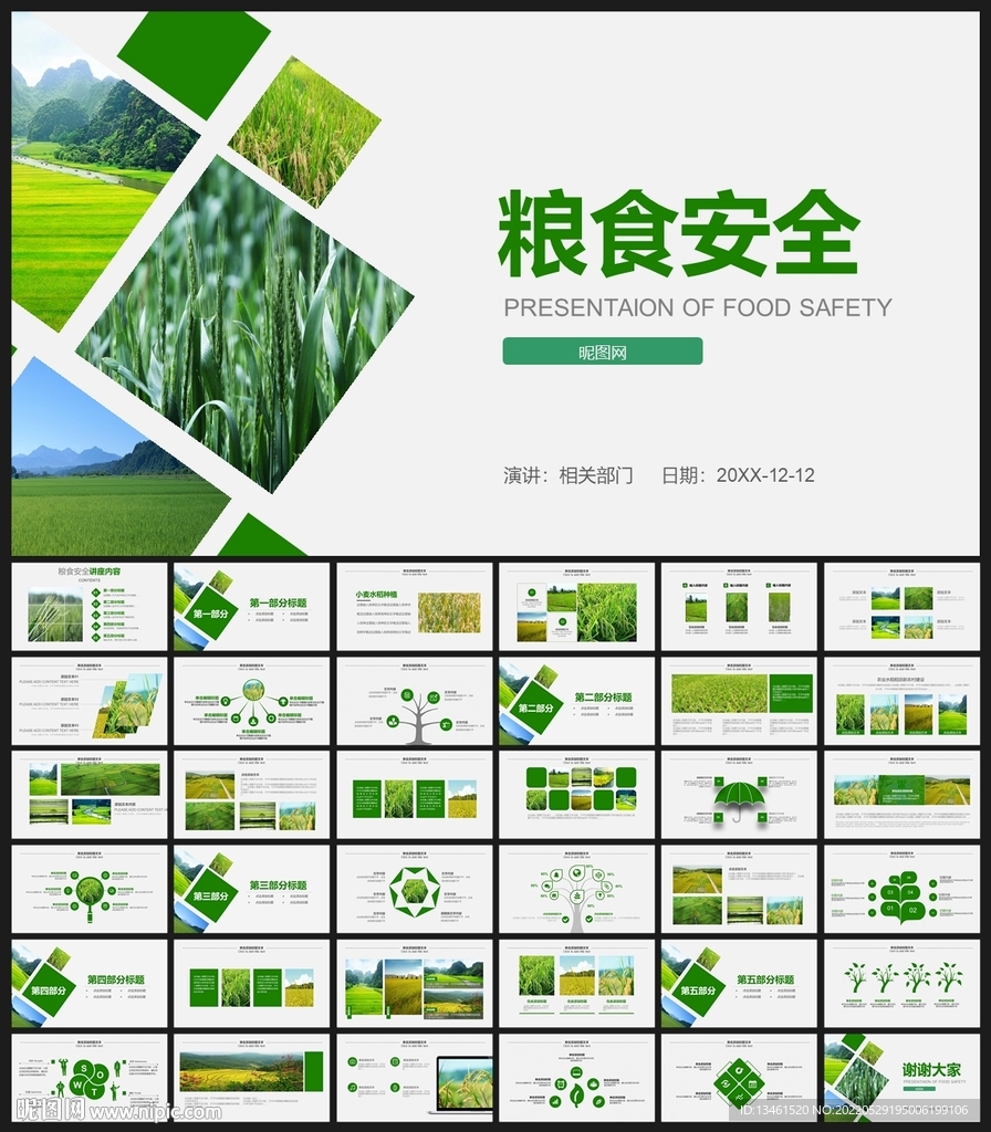 小麦水稻种植粮食安全PPT