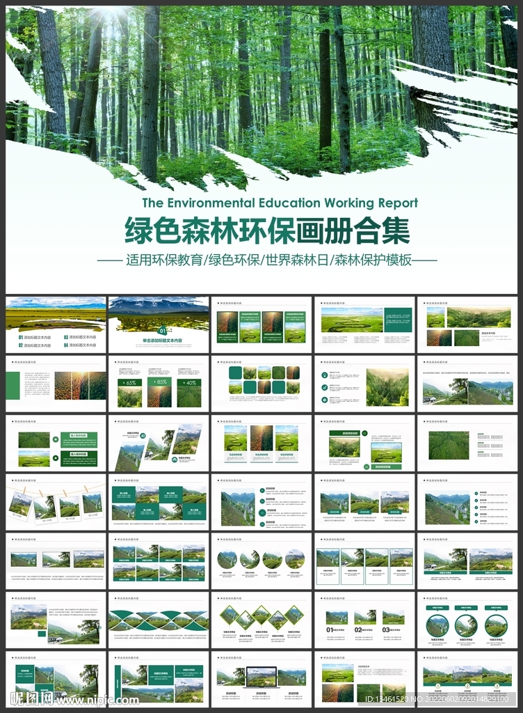 森林湿地画册图片展示ppt