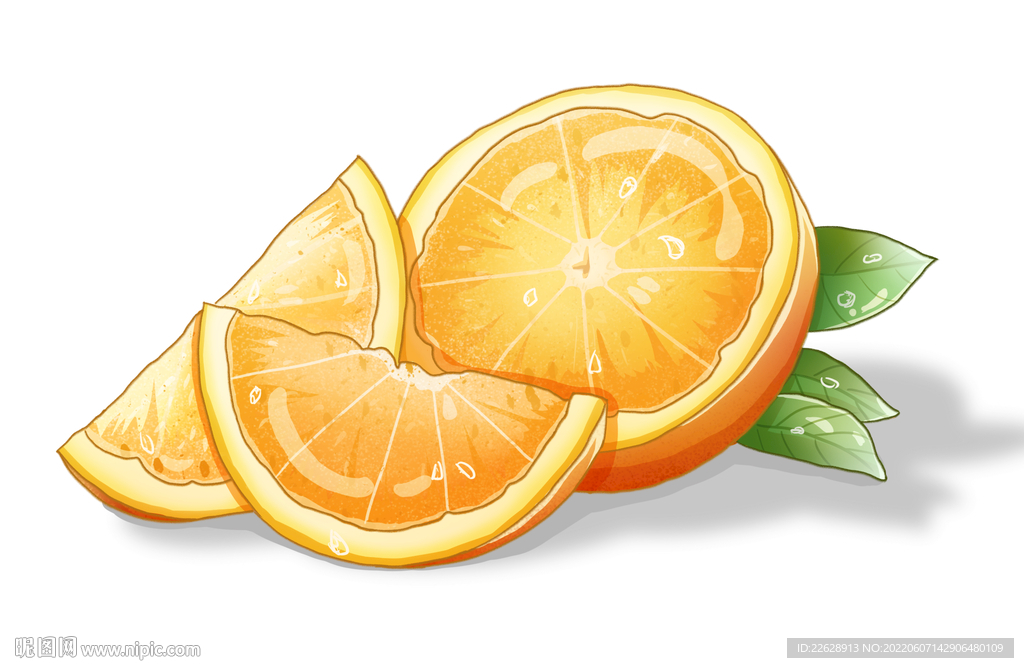 桔子 橘子手绘 插画