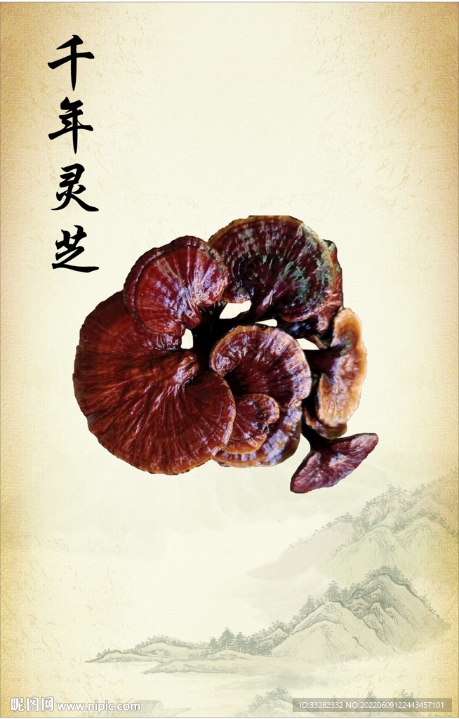 千年靈芝