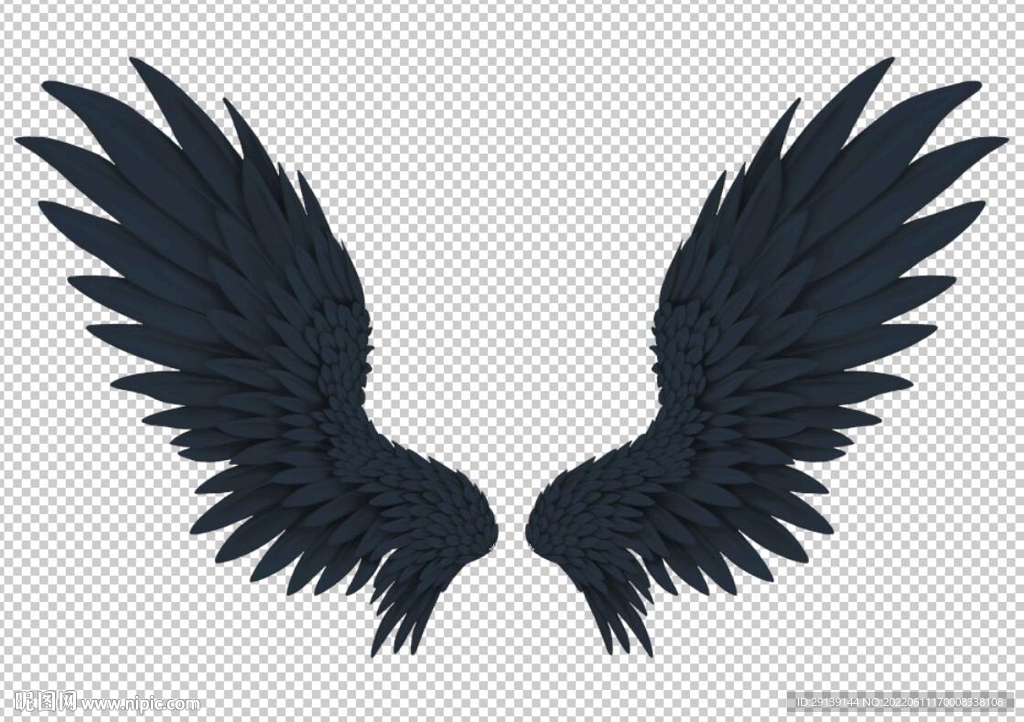 展开的黑色翅膀