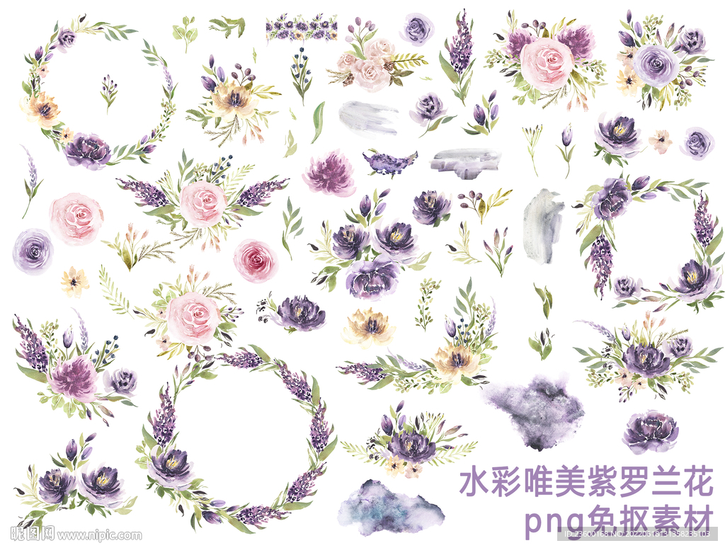 水彩紫罗兰花