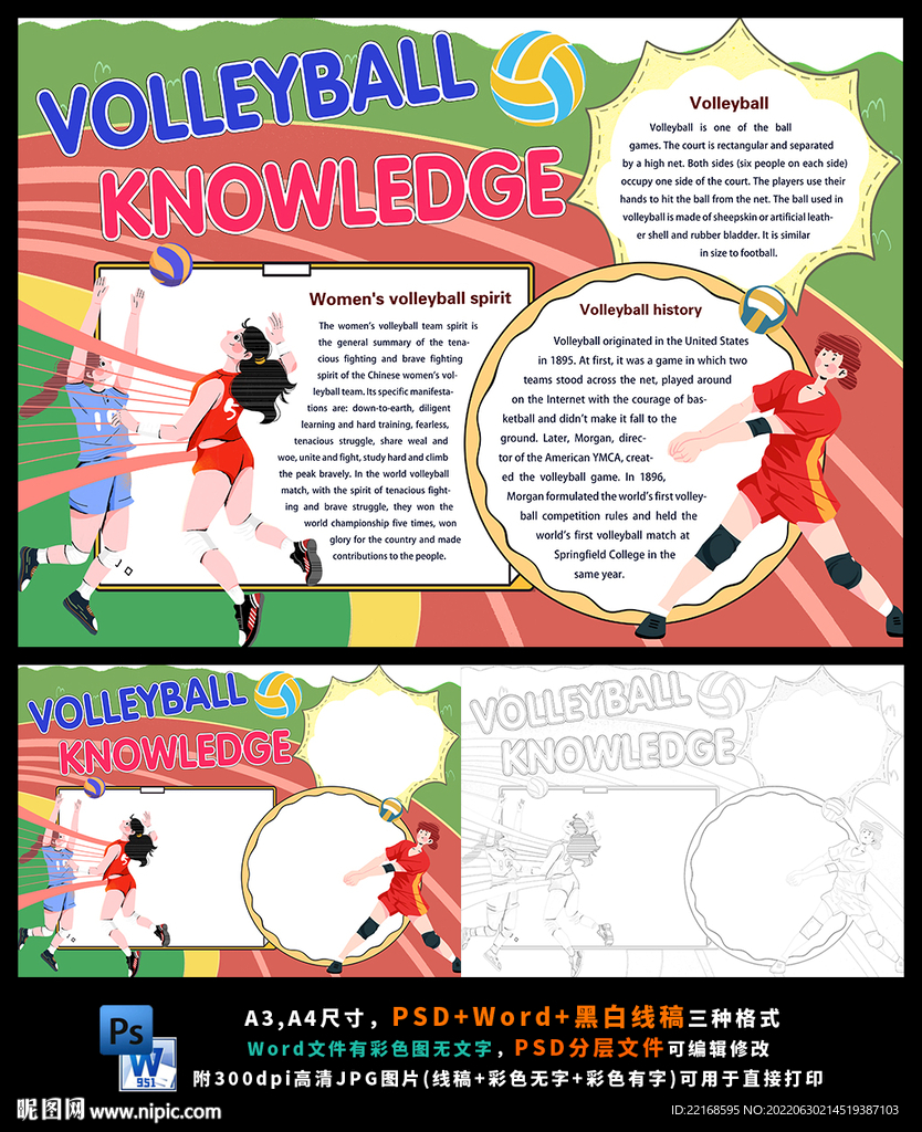 英语排球中国女排体育运动小报