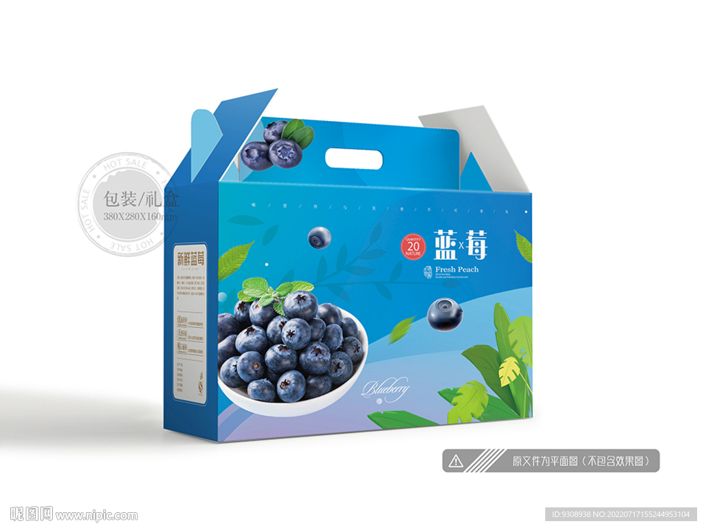 蓝莓包装 平面图