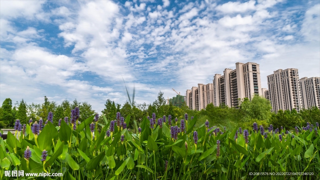 泗陽森林公園