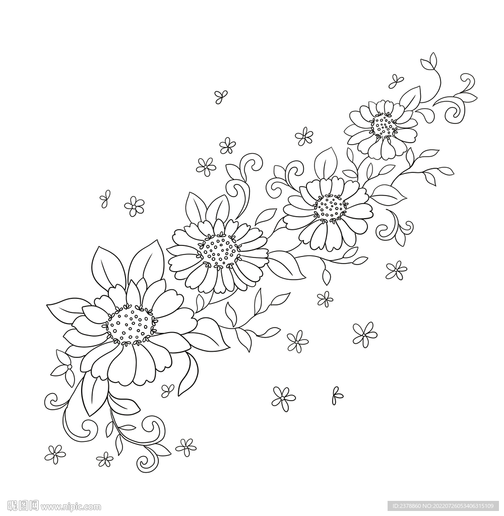 黑白花卉设计