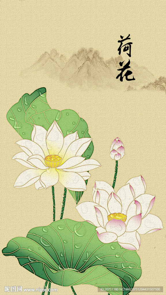 荷花