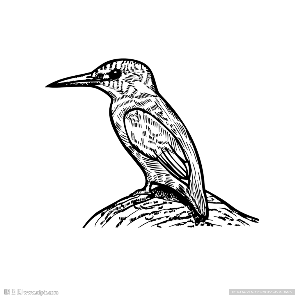 啄木鳥