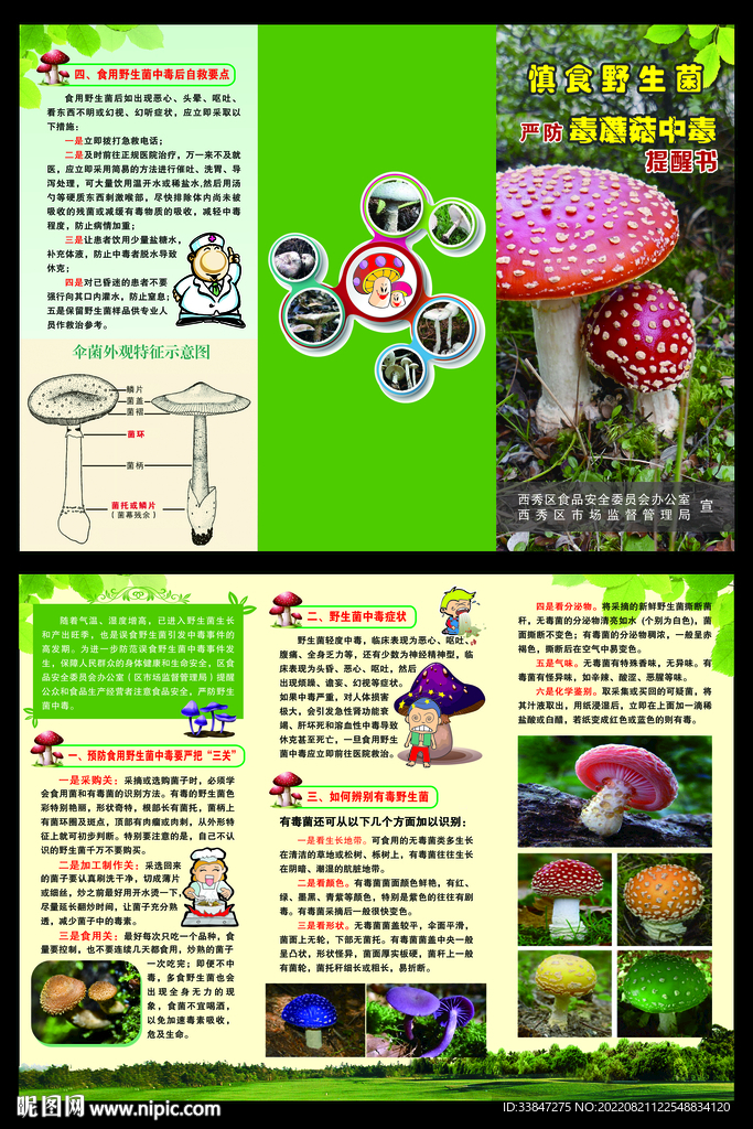 野生毒蘑菇三折页