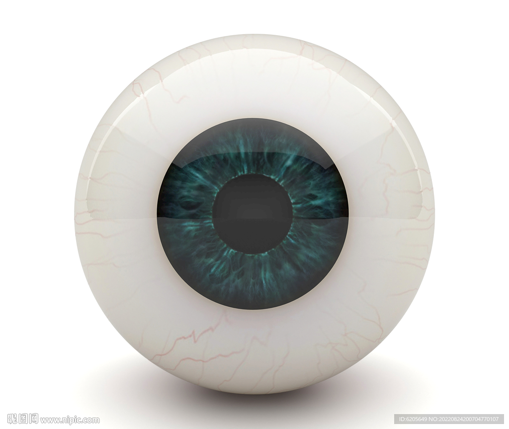 眼球三维3D模型渲染图