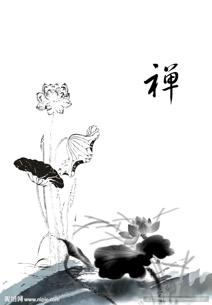 荷花