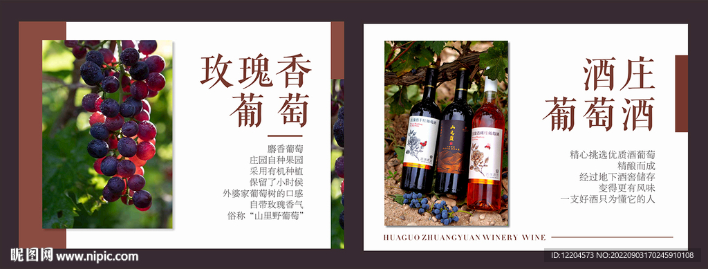 葡萄酒 水果 海报 展板