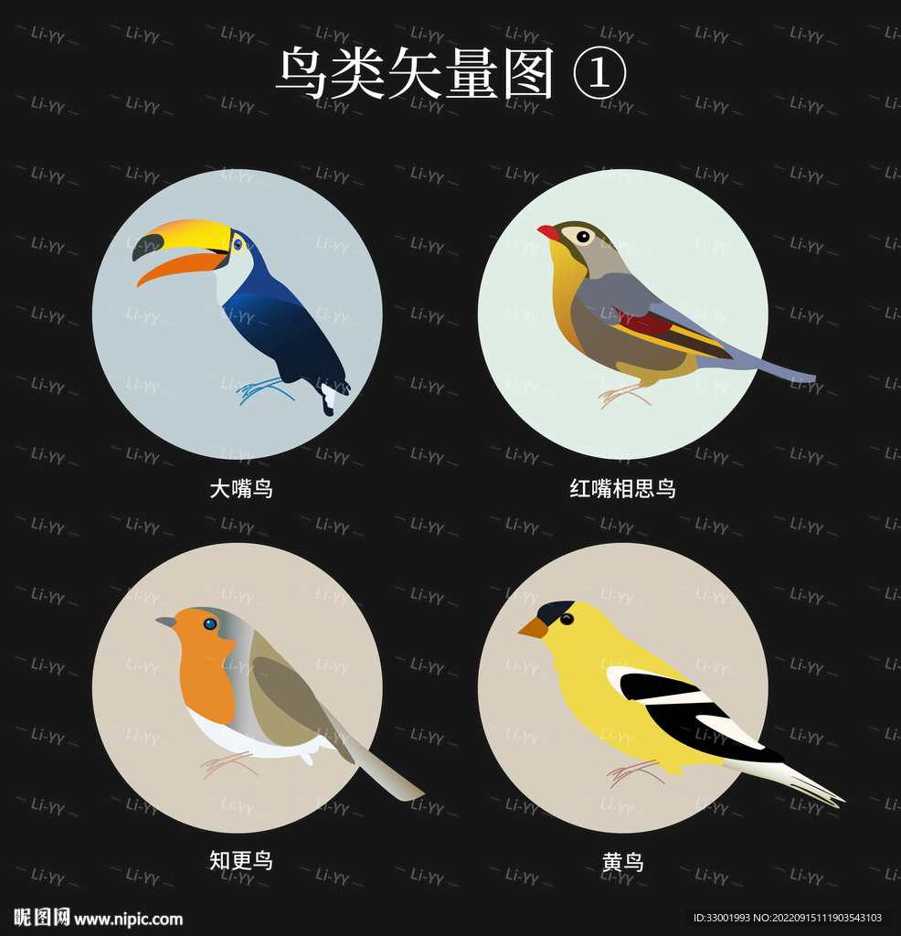 鸟类AI矢量图