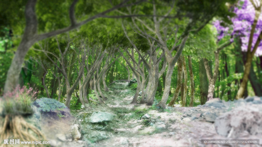 龙猫动漫真实森林风景写真合成