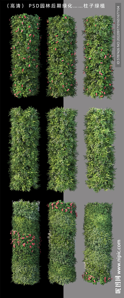 綠化墻植物