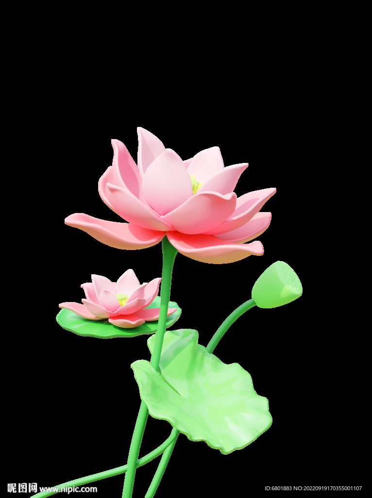 荷花