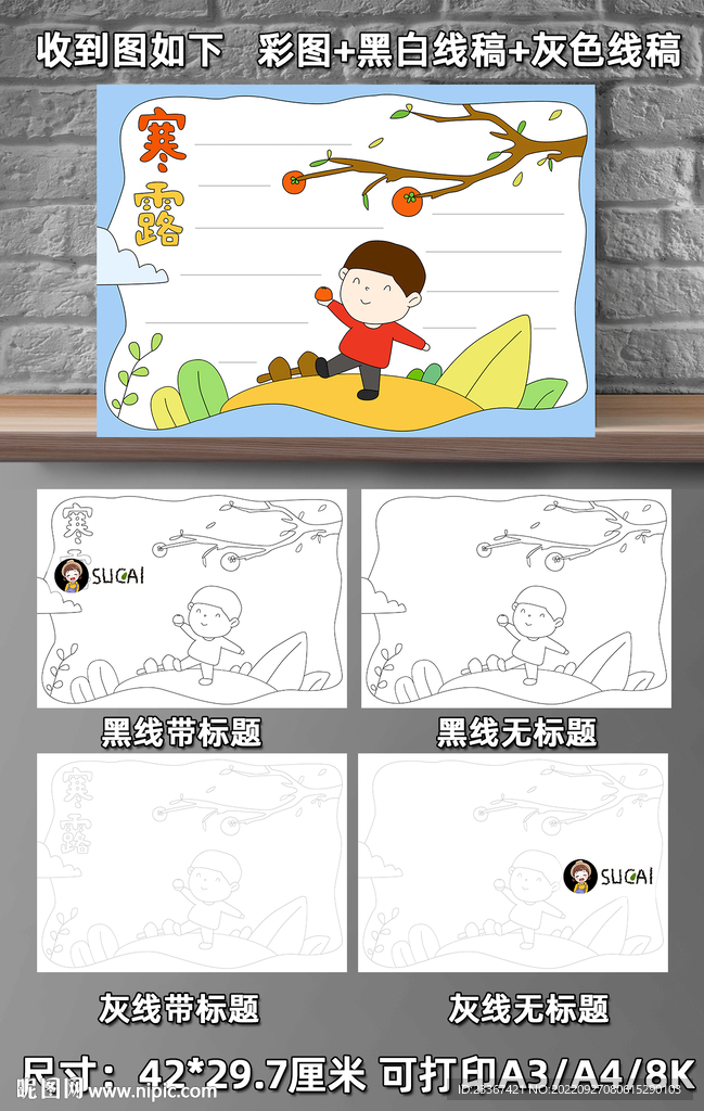 寒露手抄報(bào)