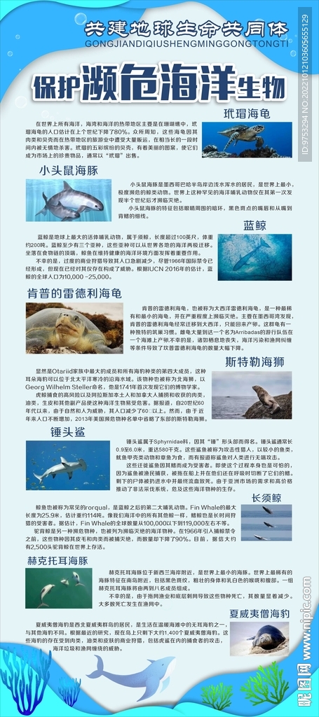 保护濒危海洋生物展架