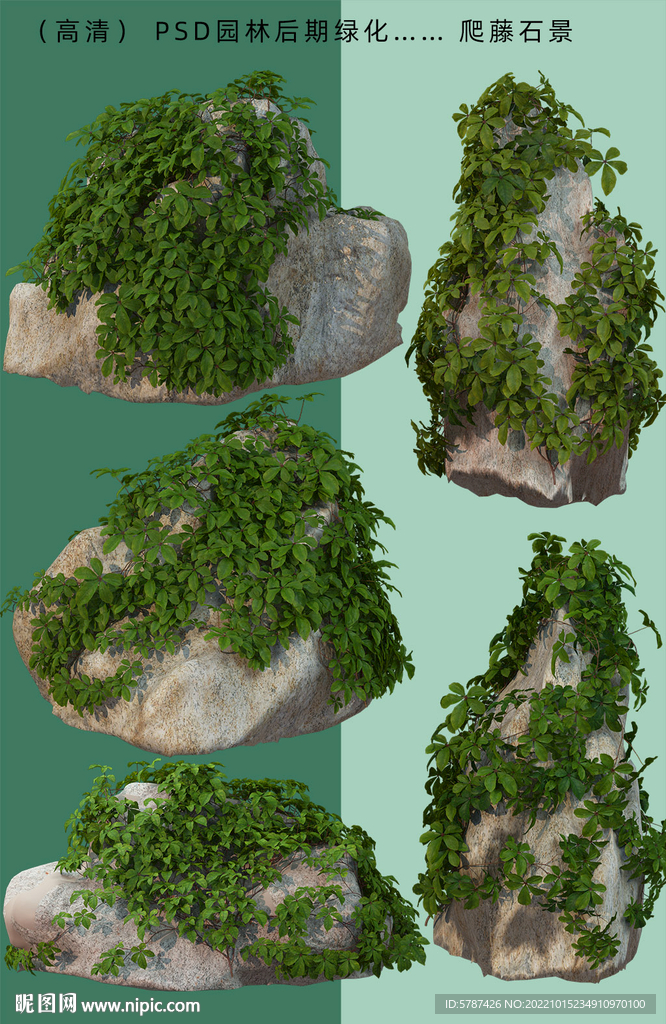 石頭綠植