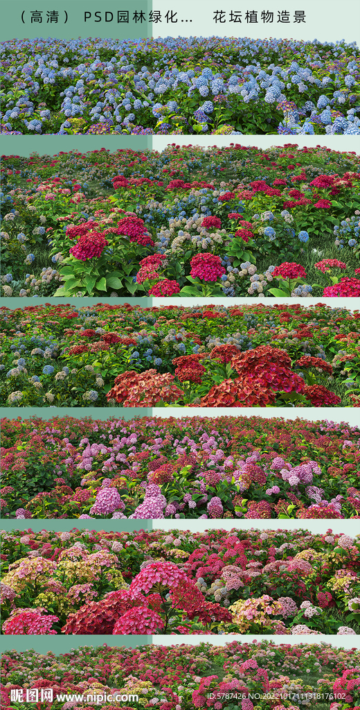 高清花叢
