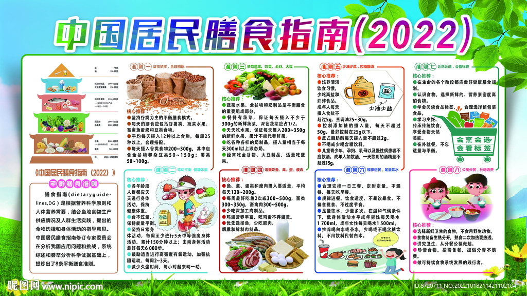 中国居民营养膳食指南展板