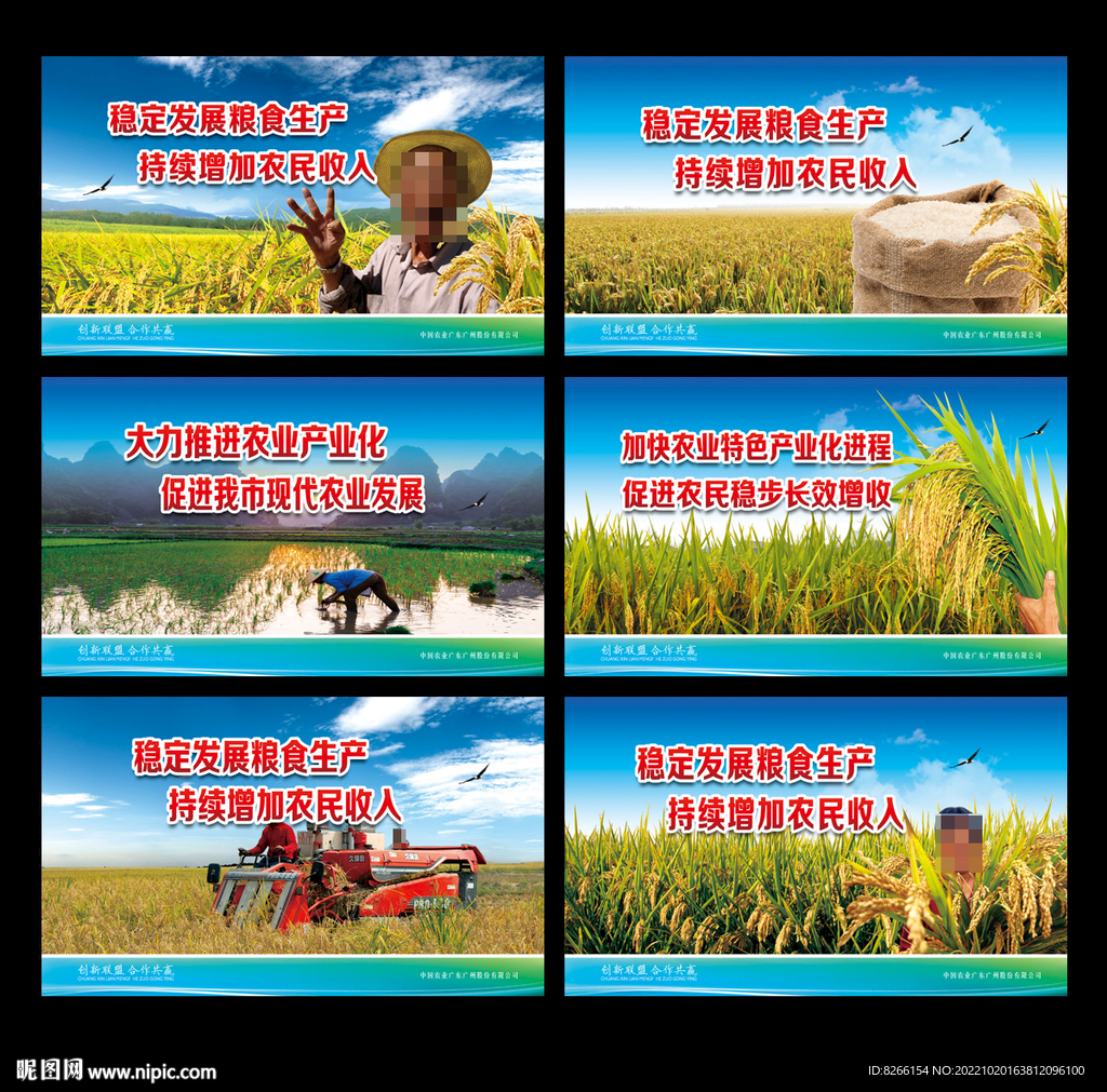 水稻海报