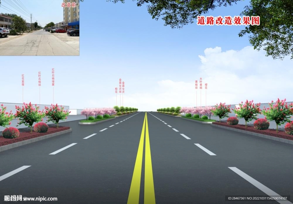 道路綠化效果圖