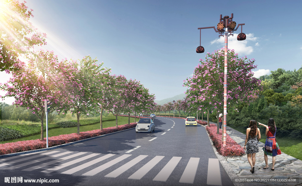 紅花羊蹄甲道路效果圖