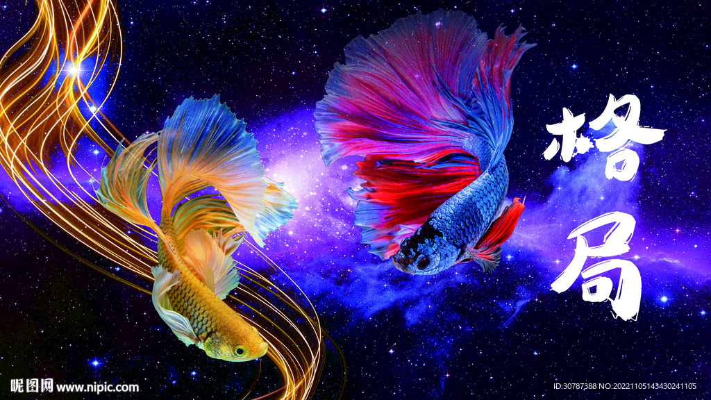 斗魚