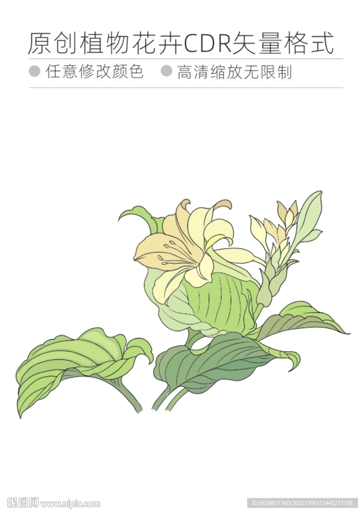 植物花卉CDR格式