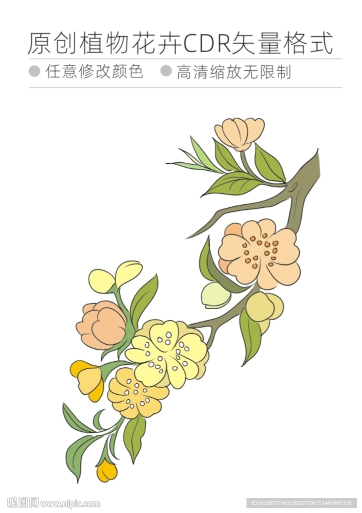 植物花卉CDR格式