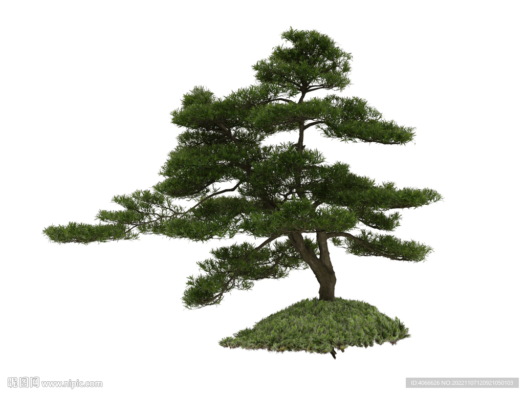 绿色松树3d模型