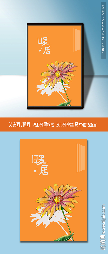 裝飾畫插畫  花卉 