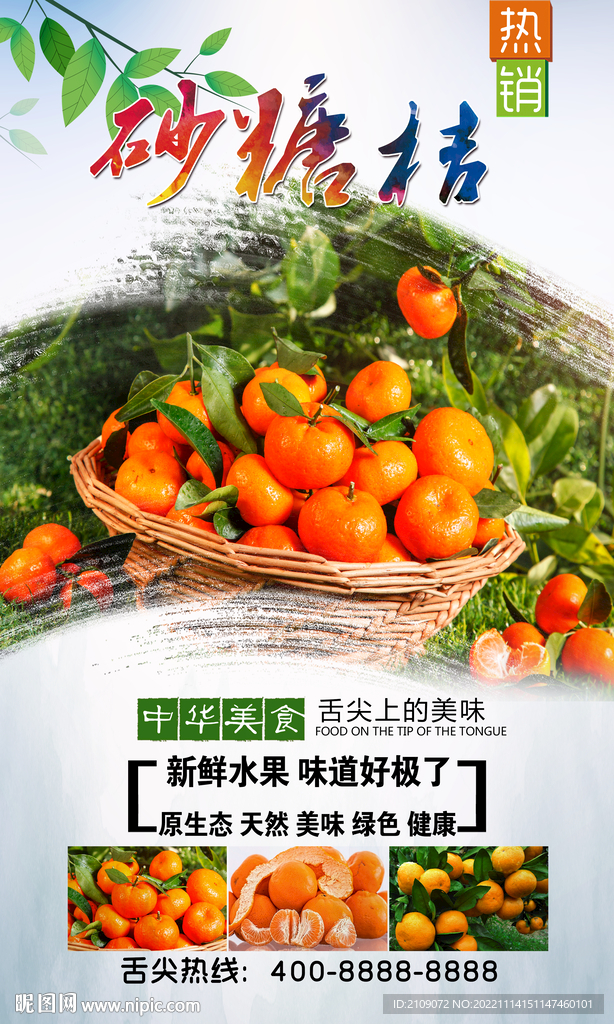 砂糖桔 