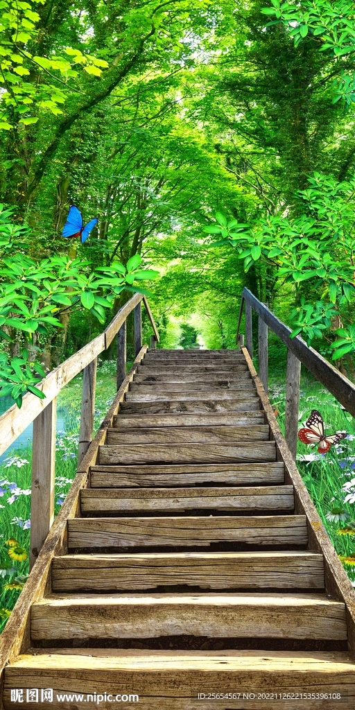 小树林阶梯过道自然风光