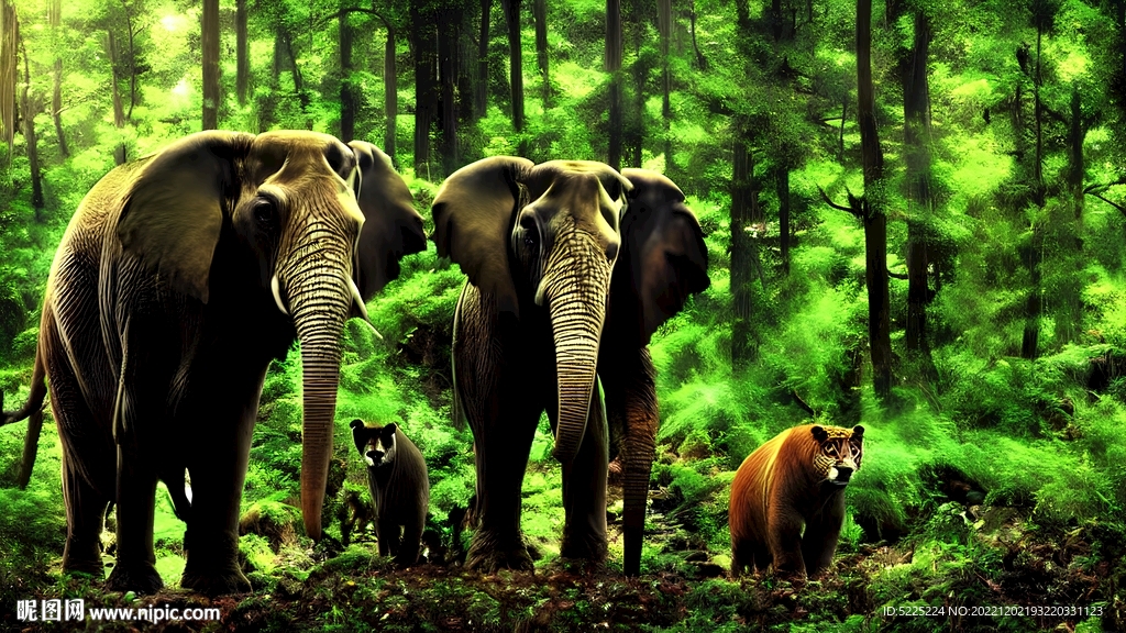 丛林大象