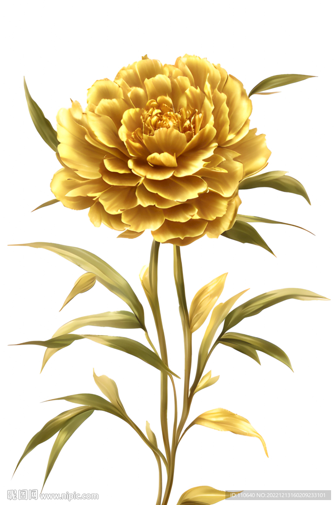 金色牡丹花