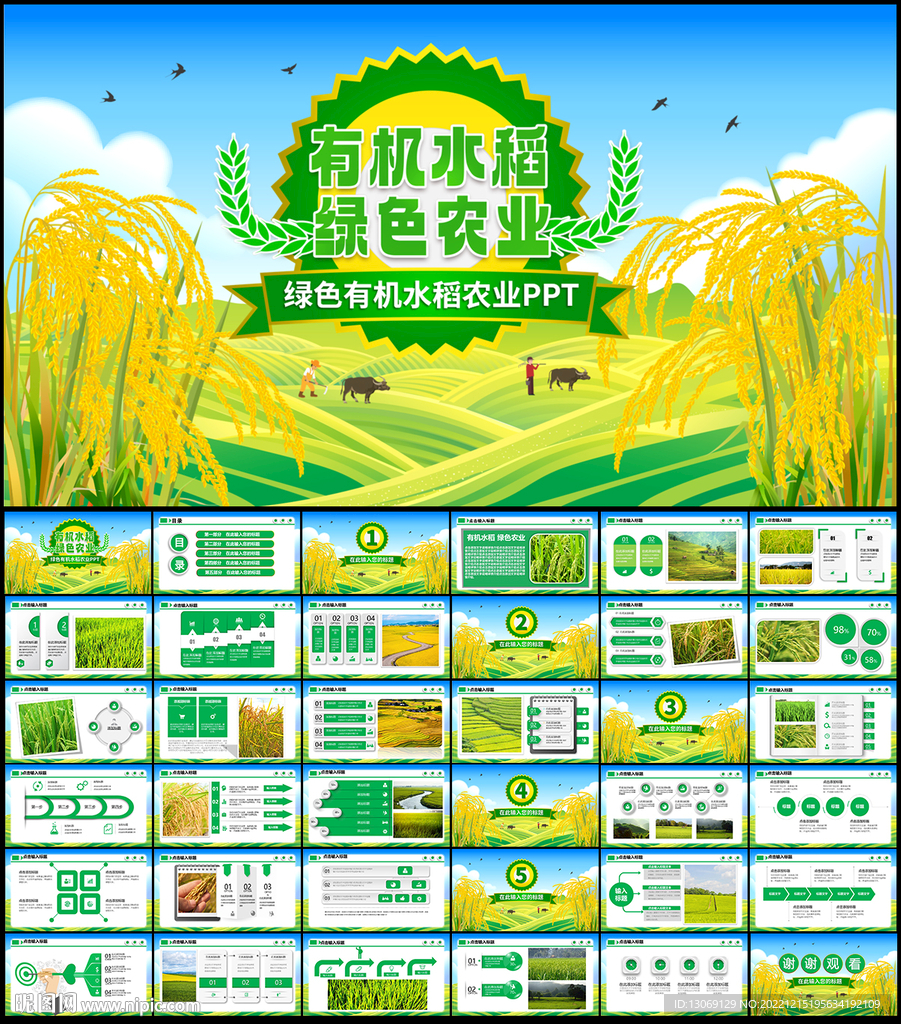 绿色有机水稻农业PPT