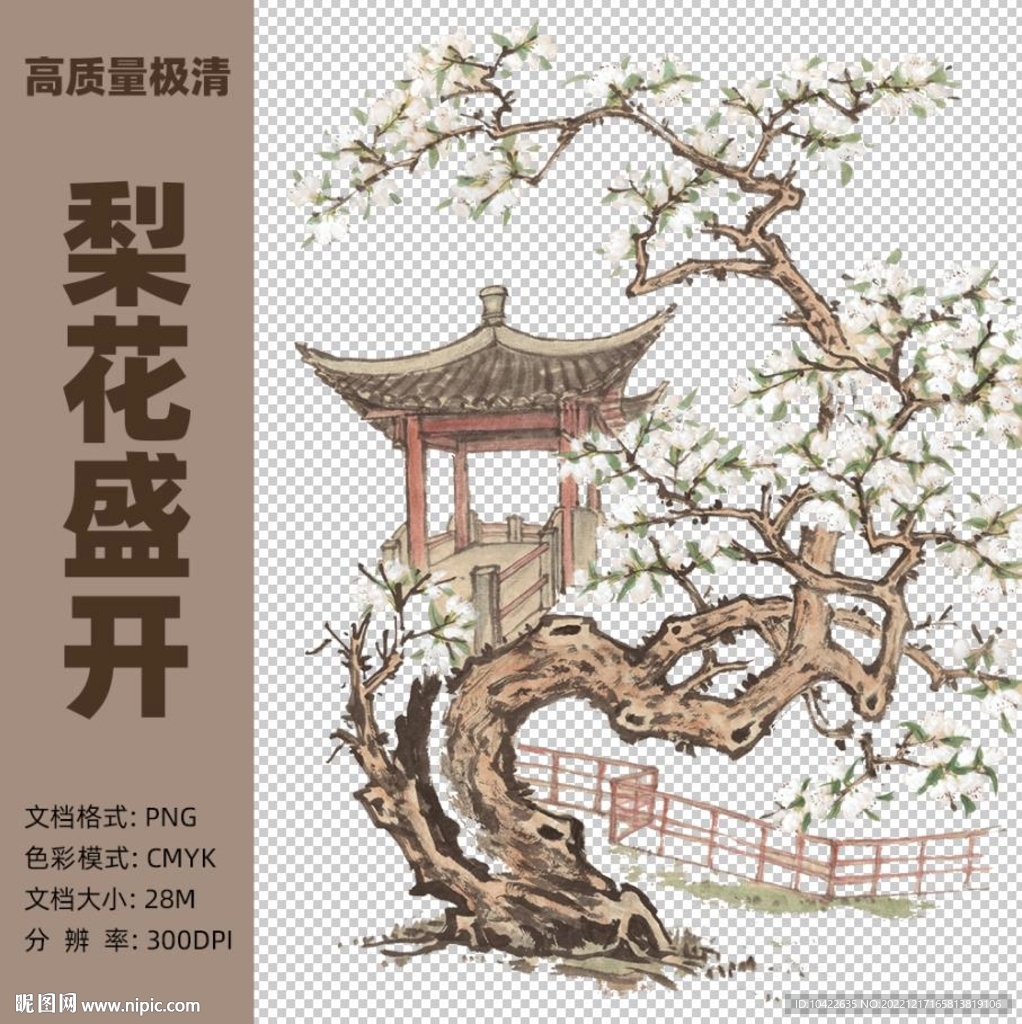 梨花盛開(kāi)水墨插畫(huà)