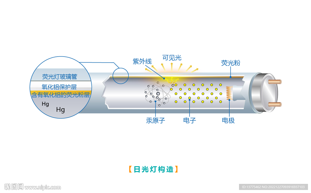 日光燈構造