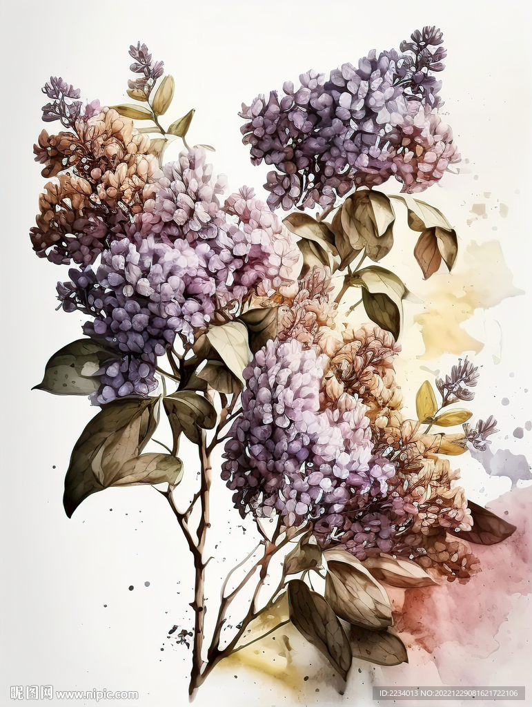 水墨紫花
