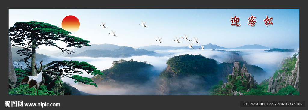 黃山迎客松圖片