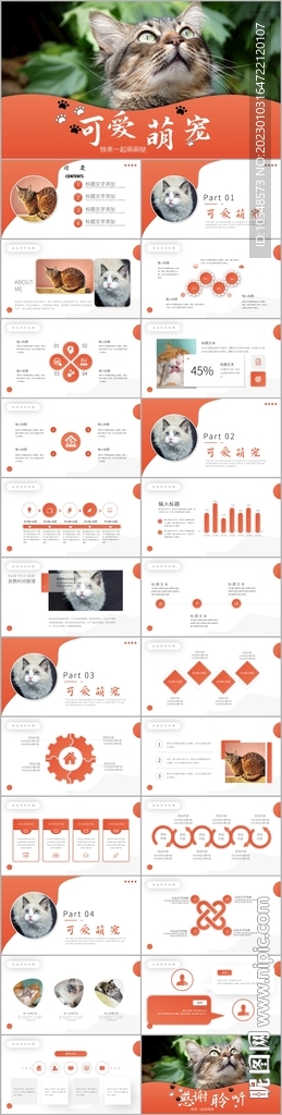 萌寵貓咪寵物醫(yī)院美容獸醫(yī)ppt