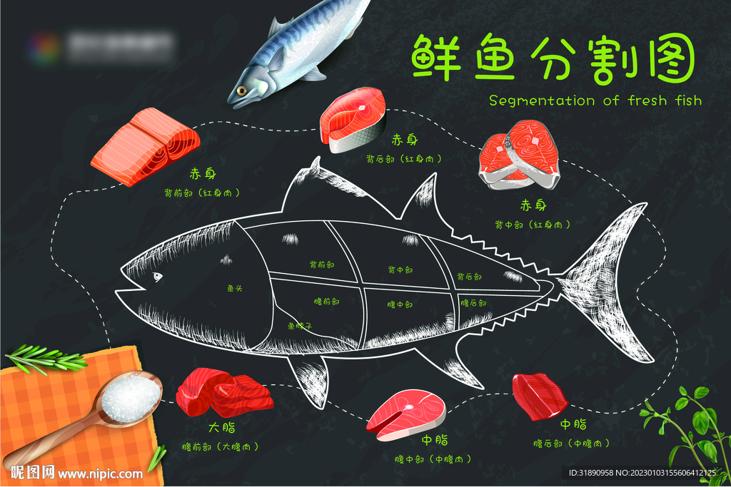 鲜鱼分割图