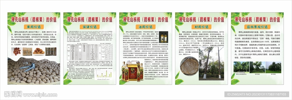 碧根果的利用價值