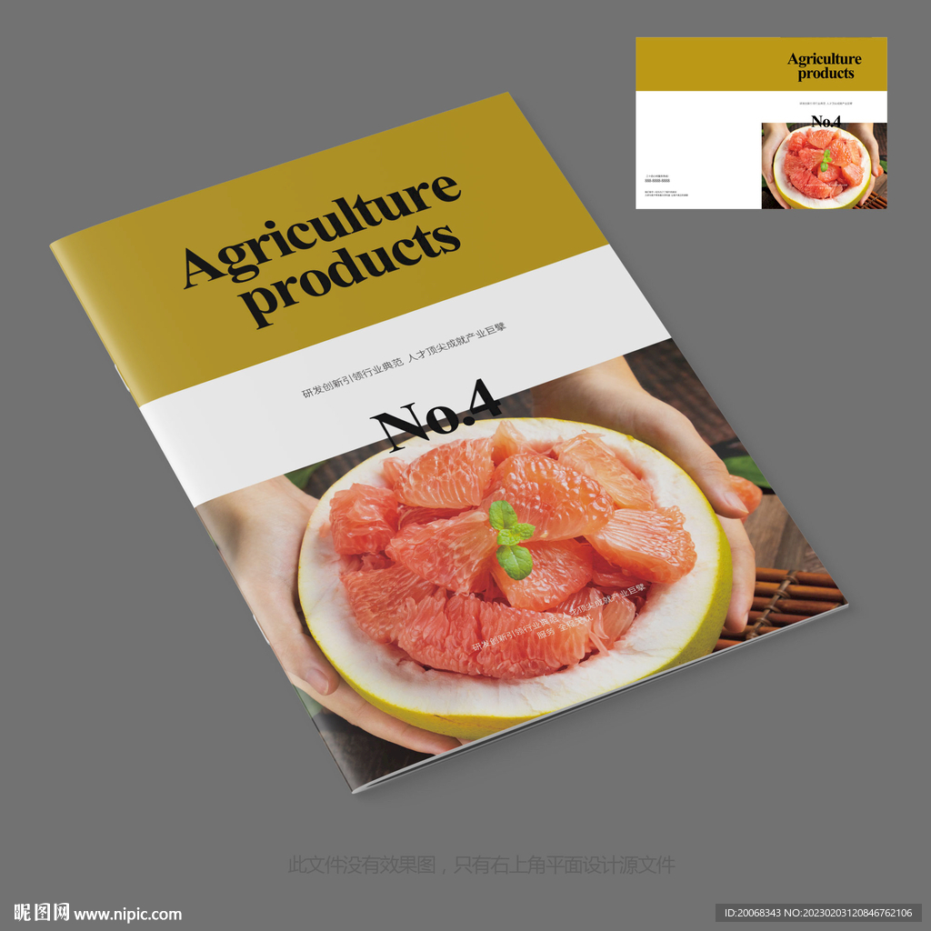 营养美食柚子农业农产品画册封面