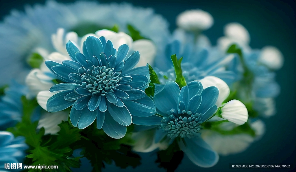 蓝色花卉装饰画