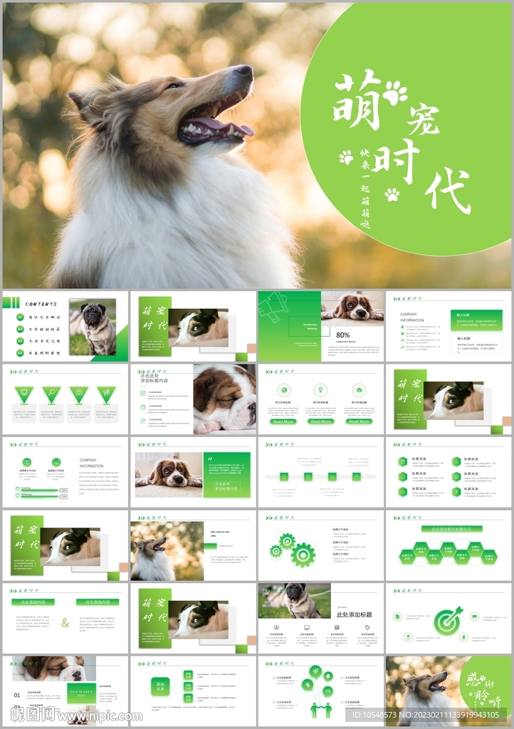 狗狗寵物店美容護理宣傳PPT